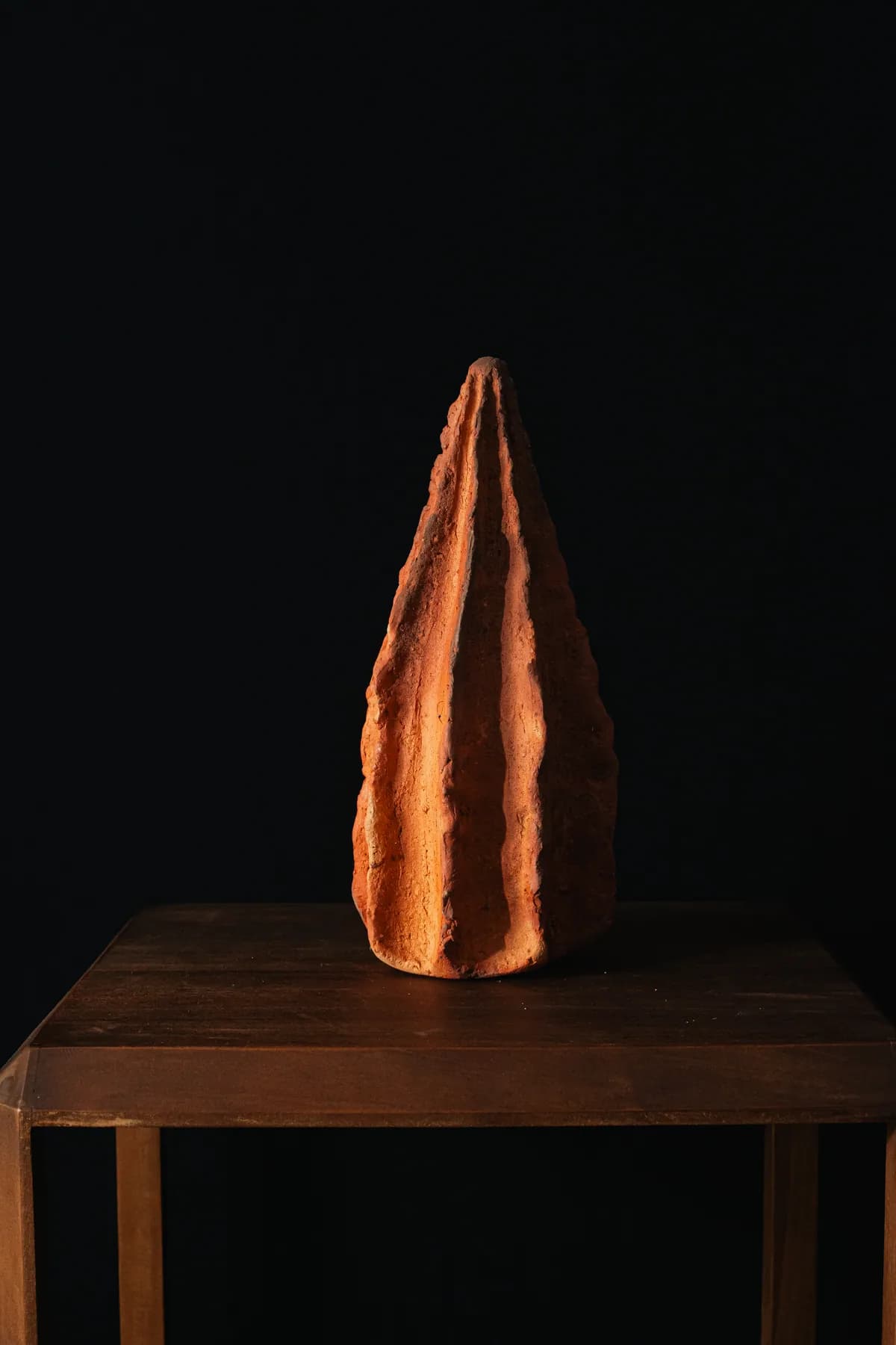 Semilla 12