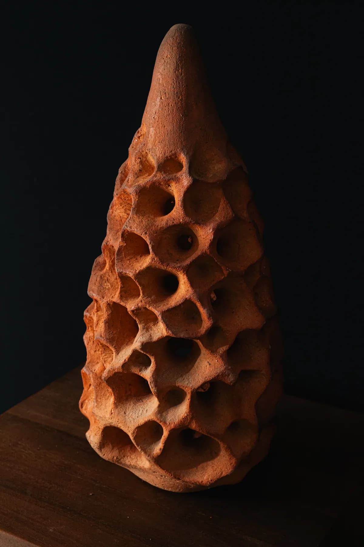Semilla 13