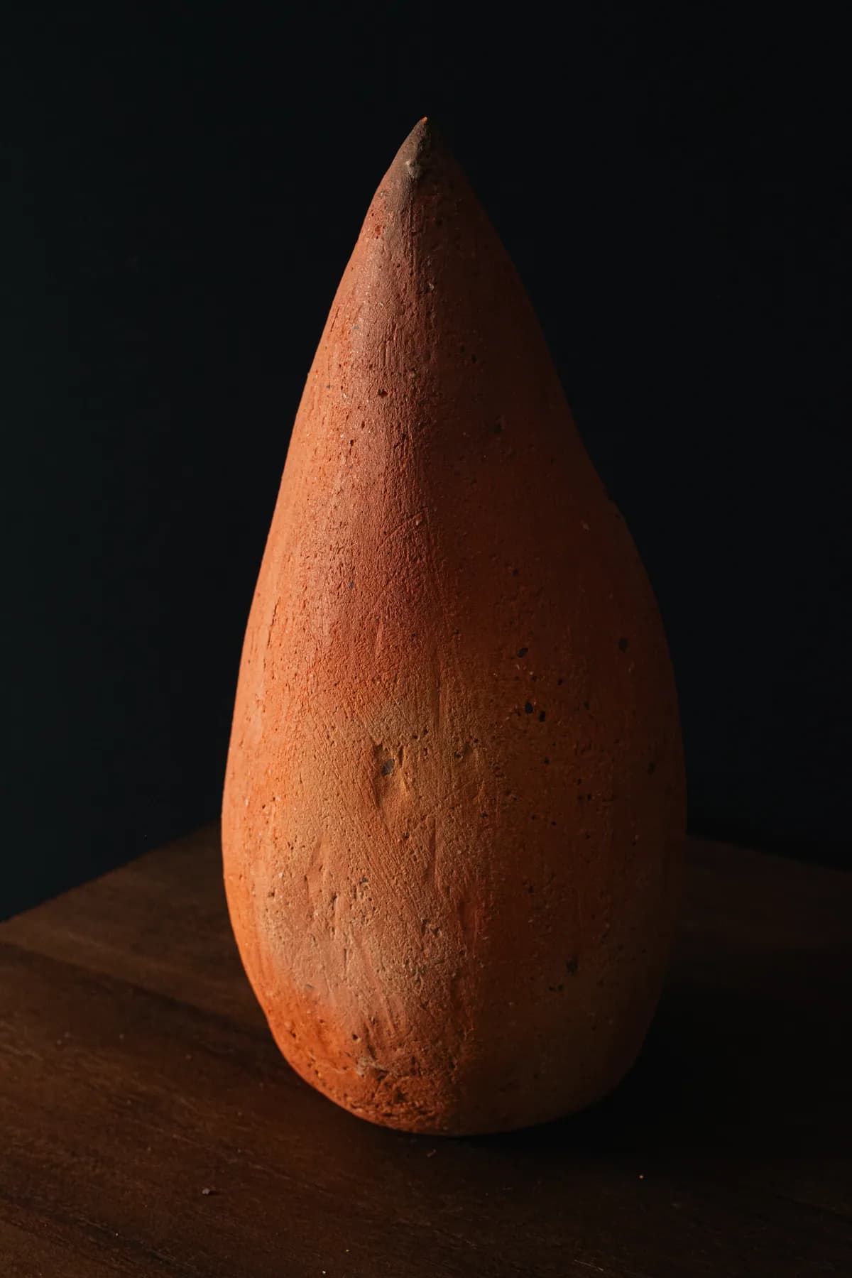 Semilla 19