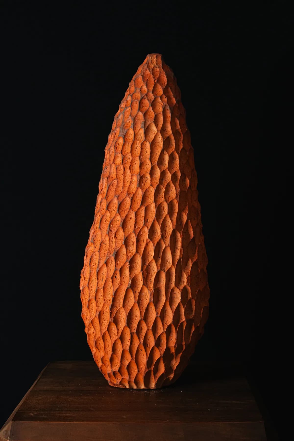 Semilla 2