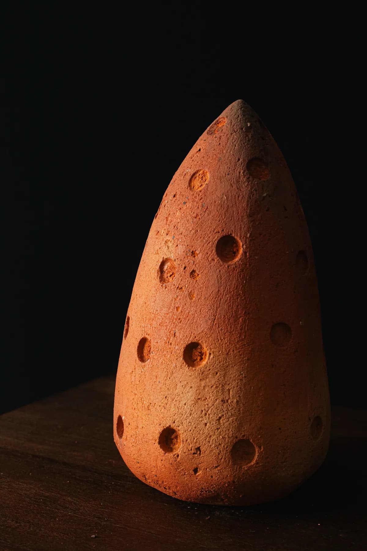 Semilla 21