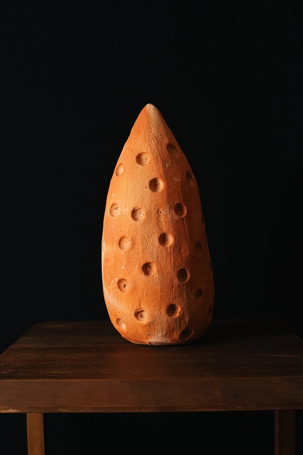 Semilla 4