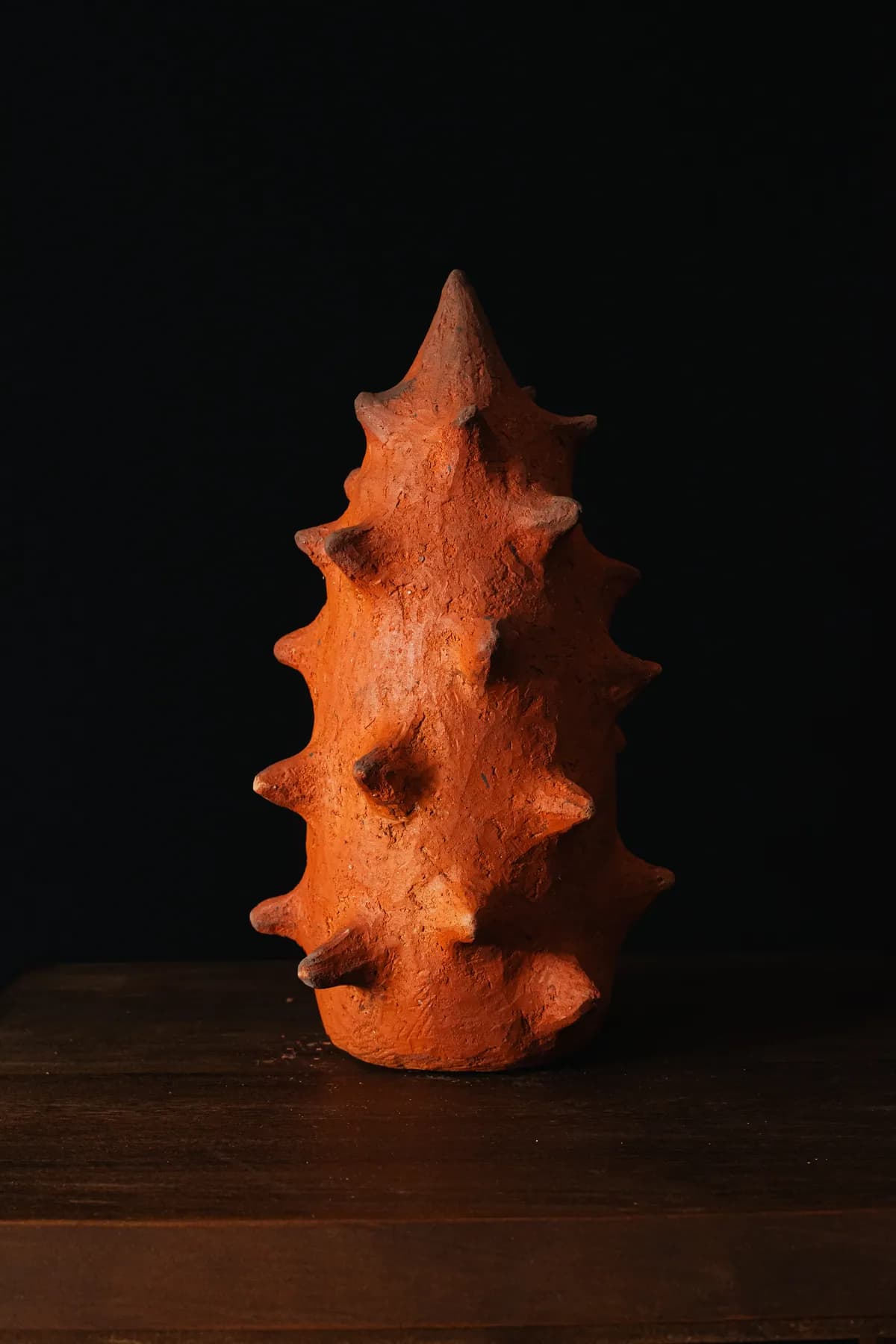 Semilla 5