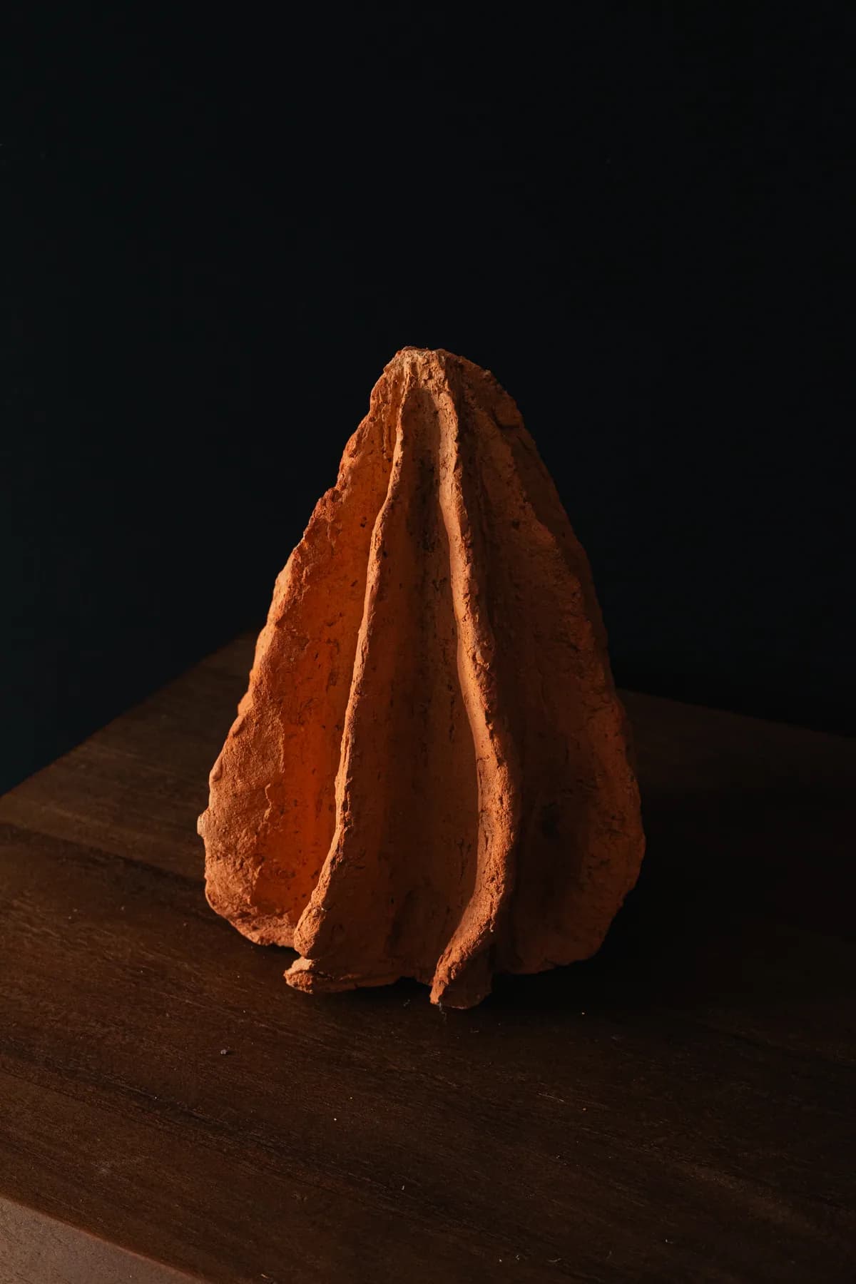 Semilla 6