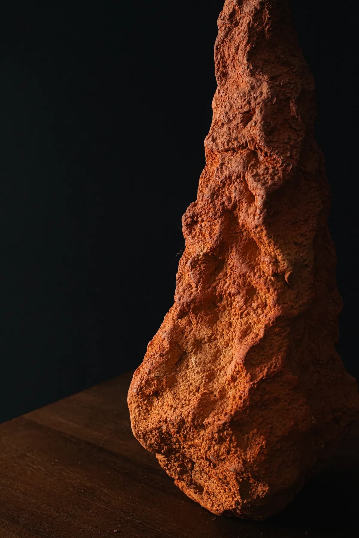 Semilla 7